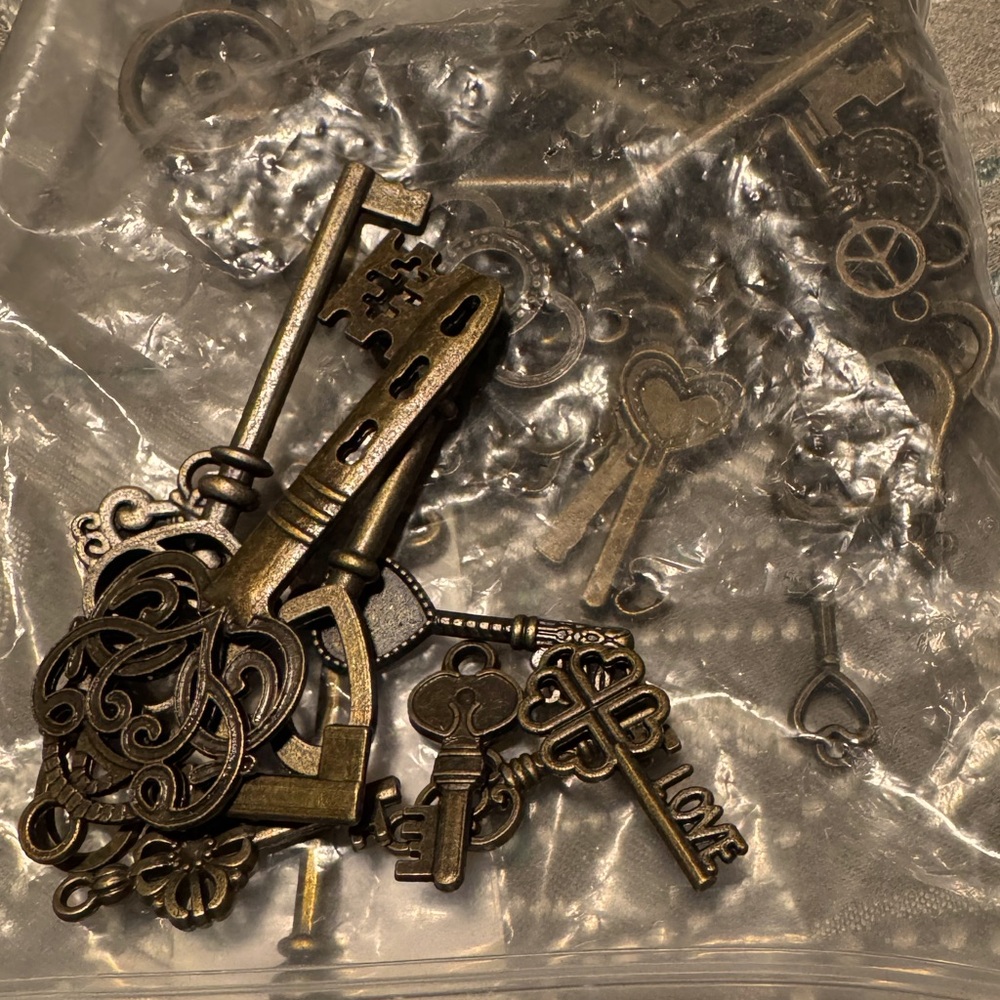 Vintage Style Bronze Skeleton Keys (40)